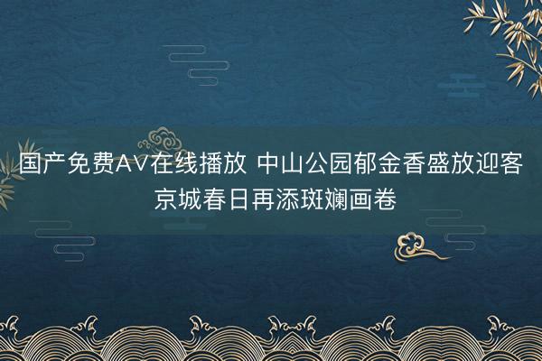 国产免费A∨在线播放 中山公园郁金香盛放迎客 京城春日再添斑斓画卷