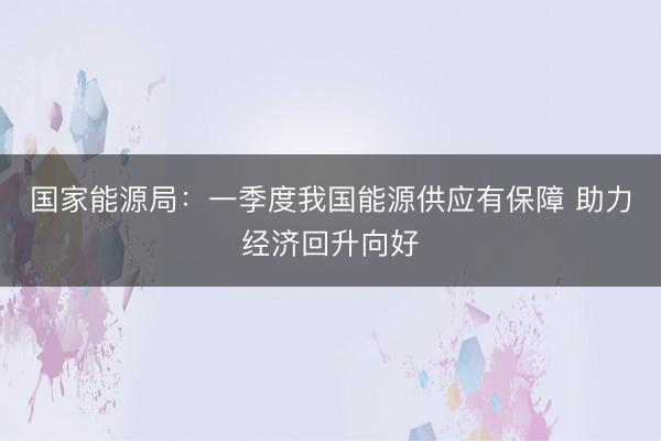 国家能源局：一季度我国能源供应有保障 助力经济回升向好