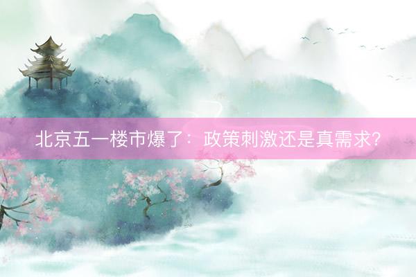 北京五一楼市爆了：政策刺激还是真需求？