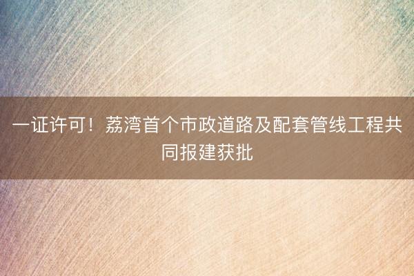一证许可！荔湾首个市政道路及配套管线工程共同报建获批