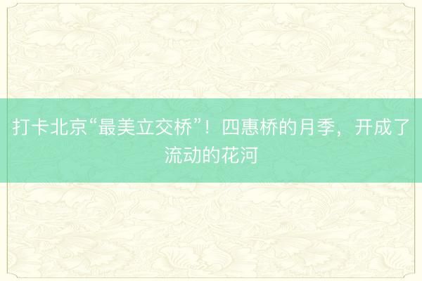 打卡北京“最美立交桥”！四惠桥的月季，开成了流动的花河