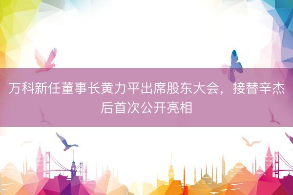 万科新任董事长黄力平出席股东大会，接替辛杰后首次公开亮相