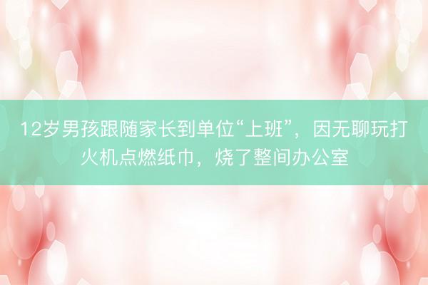 12岁男孩跟随家长到单位“上班”，因无聊玩打火机点燃纸巾，烧了整间办公室