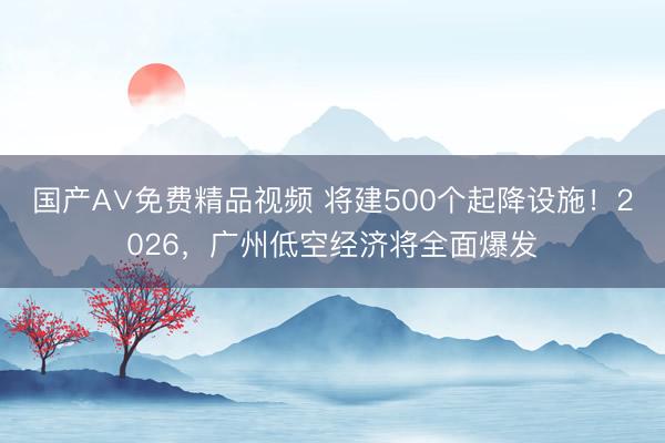 国产A∨免费精品视频 将建500个起降设施！2026，广州低空经济将全面爆发