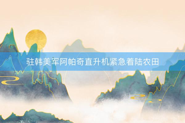 驻韩美军阿帕奇直升机紧急着陆农田
