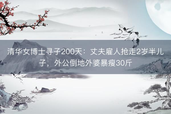 清华女博士寻子200天：丈夫雇人抢走2岁半儿子，外公倒地外婆暴瘦30斤