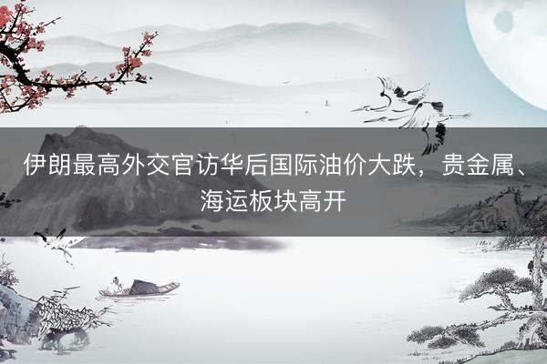 伊朗最高外交官访华后国际油价大跌，贵金属、海运板块高开