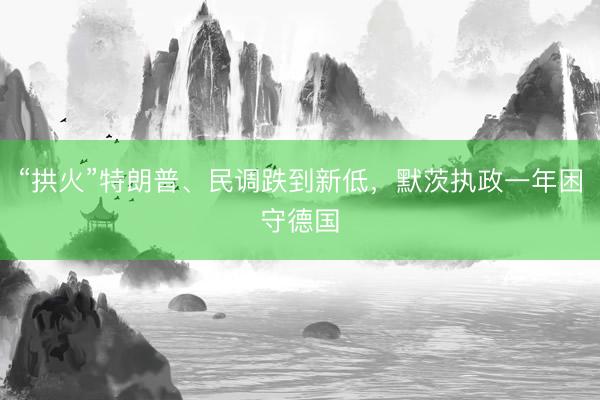 “拱火”特朗普、民调跌到新低，默茨执政一年困守德国