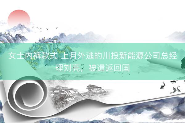 女士内裤款式 上月外逃的川投新能源公司总经理刘亮，被遣返回国