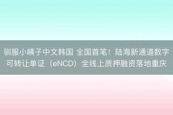 驯服小峓子中文韩国 全国首笔！陆海新通道数字可转让单证（eNCD）全线上质押融资落地重庆