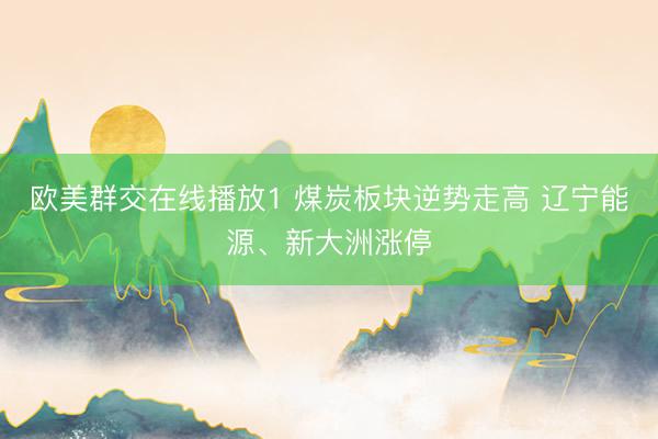 欧美群交在线播放1 煤炭板块逆势走高 辽宁能源、新大洲涨停