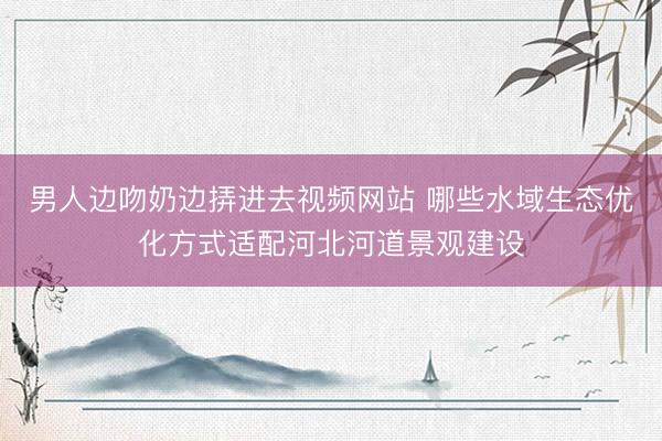 男人边吻奶边挵进去视频网站 哪些水域生态优化方式适配河北河道景观建设