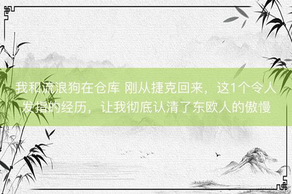 我和流浪狗在仓库 刚从捷克回来，这1个令人发指的经历，让我彻底认清了东欧人的傲慢