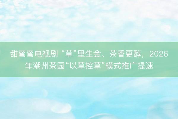 甜蜜蜜电视剧 “草”里生金、茶香更醇，2026年潮州茶园“以草控草”模式推广提速