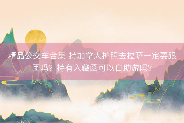 精品公交车合集 持加拿大护照去拉萨一定要跟团吗？持有入藏函可以自助游吗？
