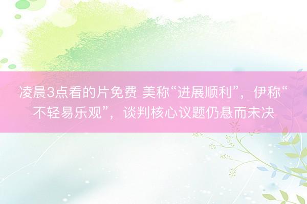 凌晨3点看的片免费 美称“进展顺利”，伊称“不轻易乐观”，谈判核心议题仍悬而未决