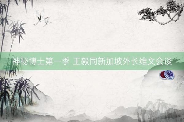 神秘博士第一季 王毅同新加坡外长维文会谈