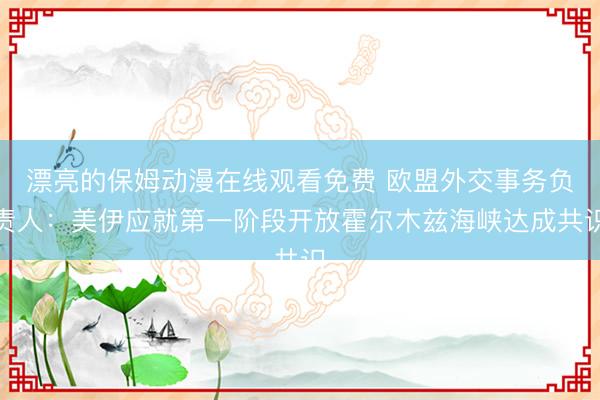 漂亮的保姆动漫在线观看免费 欧盟外交事务负责人：美伊应就第一阶段开放霍尔木兹海峡达成共识