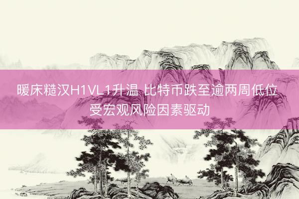 暖床糙汉H1VL1升温 比特币跌至逾两周低位 受宏观风险因素驱动