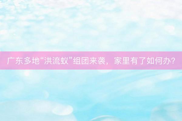 广东多地“洪流蚁”组团来袭,家里有了如何办?