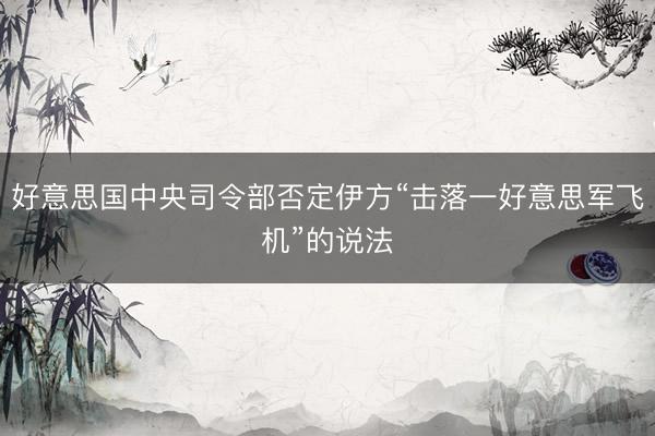 好意思国中央司令部否定伊方“击落一好意思军飞机”的说法