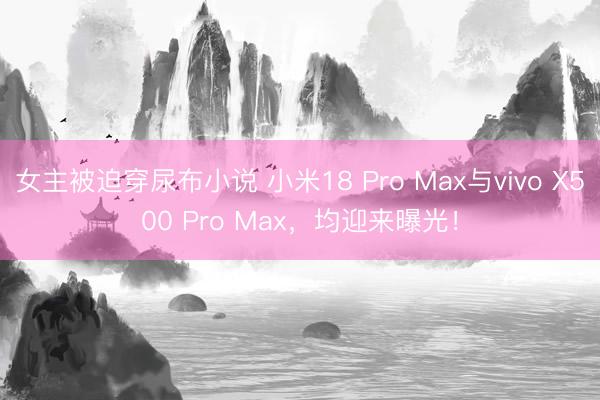女主被迫穿尿布小说 小米18 Pro Max与vivo X500 Pro Max，均迎来曝光！