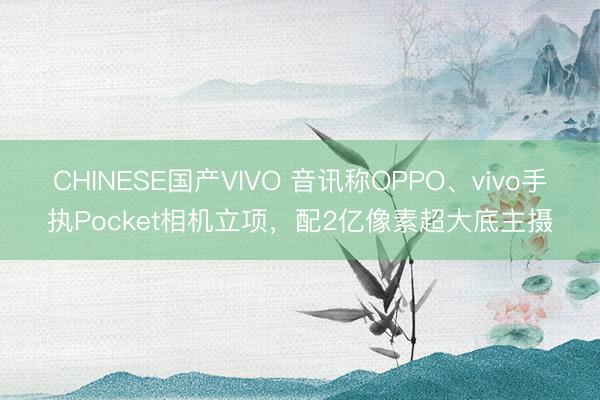 CHINESE国产VIVO 音讯称OPPO、vivo手执Pocket相机立项，配2亿像素超大底主摄