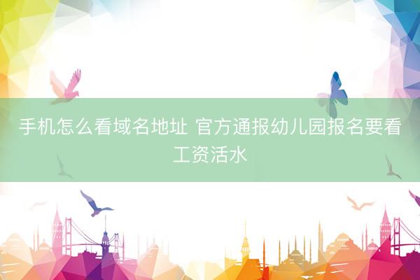 手机怎么看域名地址 官方通报幼儿园报名要看工资活水