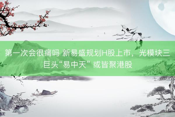 第一次会很痛吗 新易盛规划H股上市，光模块三巨头“易中天” 或皆聚港股