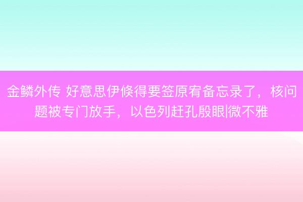 金鳞外传 好意思伊倏得要签原宥备忘录了，核问题被专门放手，以色列赶孔殷眼|微不雅