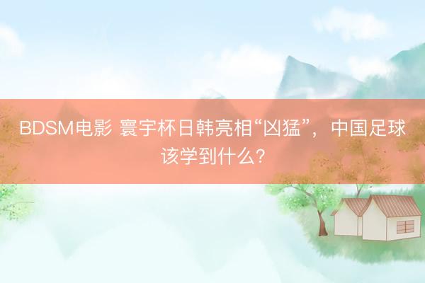 BDSM电影 寰宇杯日韩亮相“凶猛”，中国足球该学到什么？