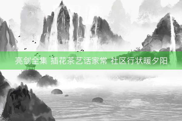 亮剑全集 插花茶艺话家常 社区行状暖夕阳