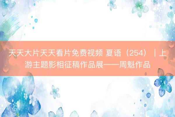 天天大片天天看片免费视频 夏语(254)|上游主题影相征稿作品展——周魁作品
