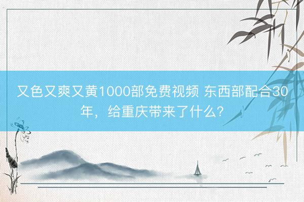 又色又爽又黄1000部免费视频 东西部配合30年，给重庆带来了什么？