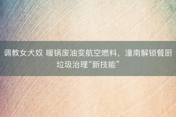 调教女犬奴 暖锅废油变航空燃料，潼南解锁餐厨垃圾治理“新技能”