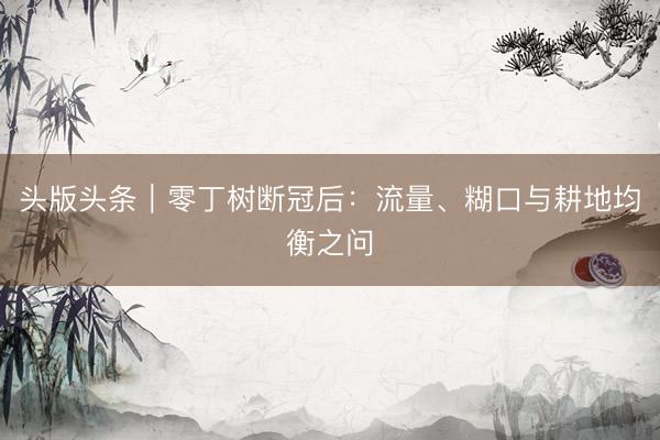 头版头条|零丁树断冠后:流量、糊口与耕地均衡之问
