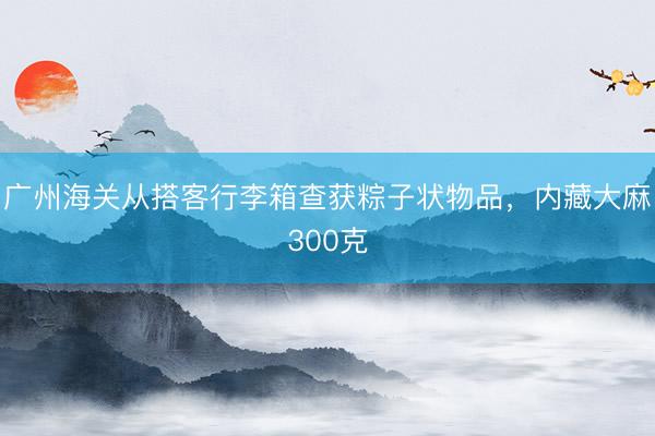 广州海关从搭客行李箱查获粽子状物品，内藏大麻300克