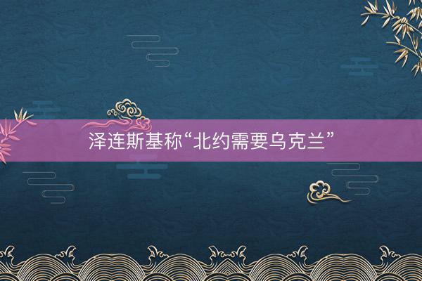 泽连斯基称“北约需要乌克兰”