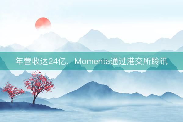 年营收达24亿，Momenta通过港交所聆讯