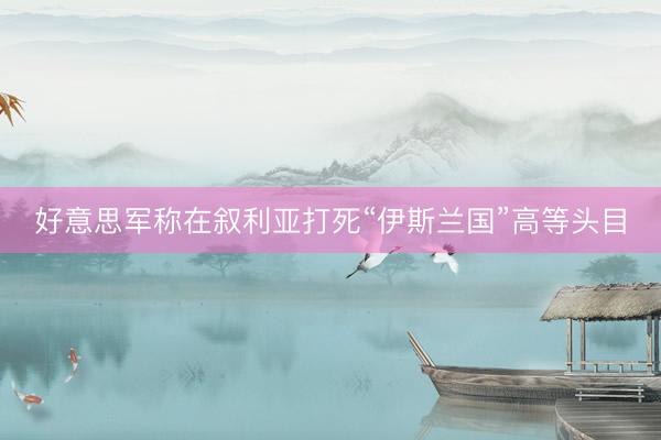 好意思军称在叙利亚打死“伊斯兰国”高等头目